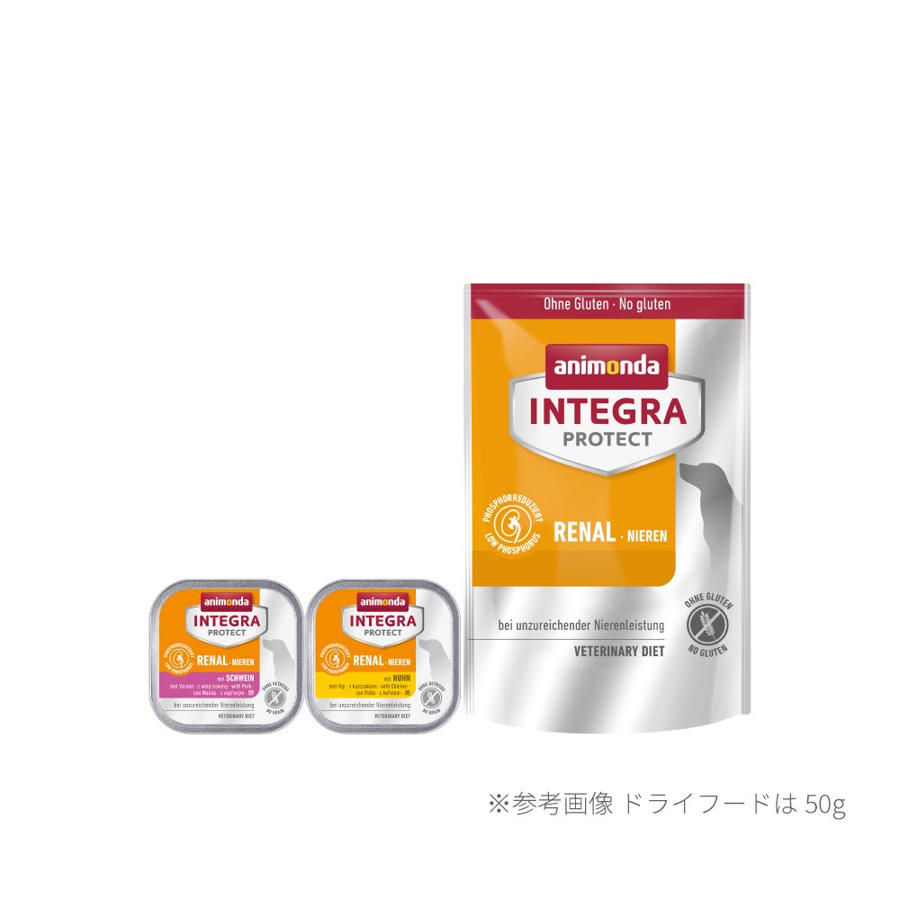 犬用療法食】腎臓ケア ウェット&ドライセット(小型犬-中型犬向け